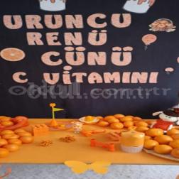 🍊 Turuncu Renk Günü ve C Vitamini Etkinliğimiz