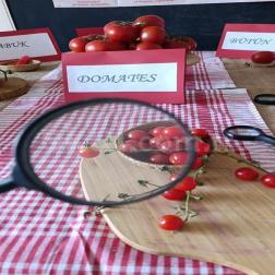 🍅 Domatesi Yakından Tanıyoruz
