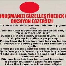 🗣️ Diksiyon Egzersizleriyle Eğlenceli Öğrenme