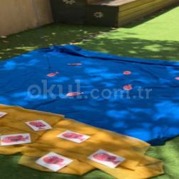 🌊🐠 Matematik hiç bu kadar eğlenceli olmamıştı!