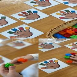 🖐️ Renk Eşleştirme Etkinliği
