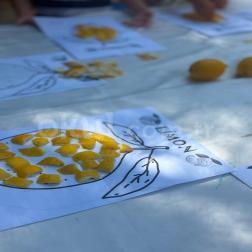 Limon kabuklarıyla yaratıcılığımızı konuşturduk! 🍋💛