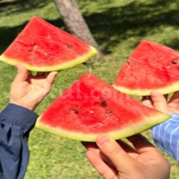 🌿 Yıl Sonu Pikniğimizden Keyifli Anlar
