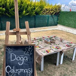 DOĞA ÇALIŞMASI