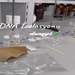 Yaşamın şifresini çözüyoruz! 🧬
