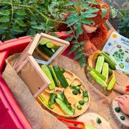 Salatalığın Yolculuğunu Keşfediyoruz! 🥒🌱