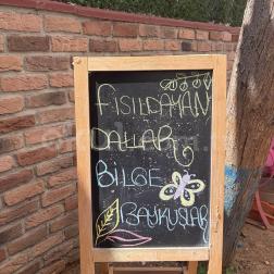 Doğanın Bilge Baykuşları