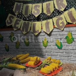 Mısır Şenliği