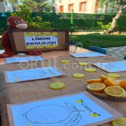 Limon Ekolojisiyle Mis Kokulu Bir Etkinlik! 🍋🌿