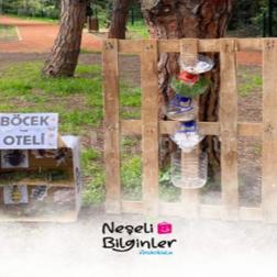 Kirli sudan temiz suya giden yolculuk 💧✨