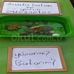 Suda Batan ve Yüzen Nesneleri Keşfediyoruz! 💧🔍