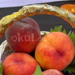Şeftalinin bu kadar güzel olduğu bir zaman "ŞEFTALİLİ SORBE" yapmazsak olmaz🍦🍧🍑🍊
