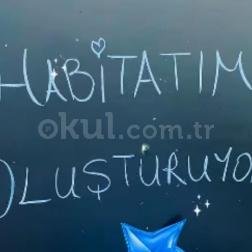 Habitatımı Tasarlıyorum! 🐠🌿🎨