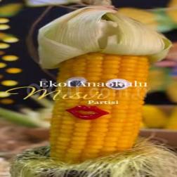 🌽💛 Mısır Partimizden Rengârenk Anılar! 💛🌽