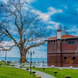 Yalova Gezimizle Tarih ve Kültür Yolculuğu! 🚌🏛️✨