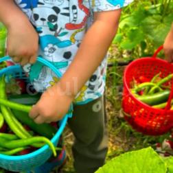 Bugün küçük çiftçilerimizle birlikte çiftlikte harika bir gün geçirdik. 👩‍🌾🚜🧑‍🌾