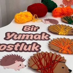 🦔🧶 Bir Yumak Dostluk'