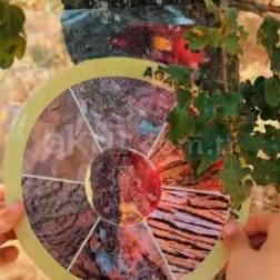 Bugün çocuklarımızla birlikte Kurtboğazı’nın eşsiz doğasında keşiflerle dolu, bol gözlemli ve keyifli bir gün geçirdik. 🌞🎒💚