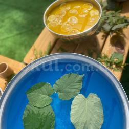 Doğanın Mutfağında Minik Şefler 🌿🥣🍋