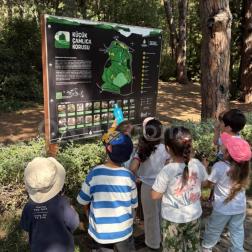 Küçük Çamlıca Korusu Gezimiz 🌿