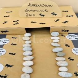 Karıncanın Sorumluluk Yolu! 🐜🌿