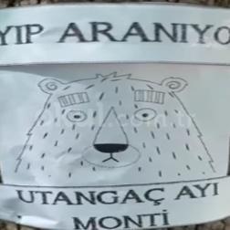 🔎🕵🏻🕵🏻‍♂️Kayıp İlanı: Ayı Monti Aranıyor!