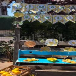 Limonata Şenliğinde Yaz Coşkusu! 🍋☀️