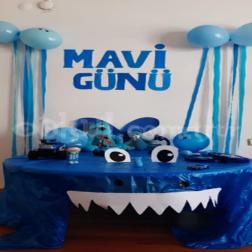Mavi Günümüzde Renkli Anlar! 💙🎈