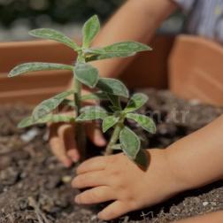 🌱 Minik Eller Toprakla Buluştu! 🌸