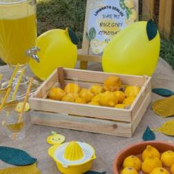 🍋 Limonata Şenliği! 💛✨