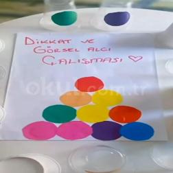 🎨 Dikkat ve Görsel Algı Çalışması! 🌈