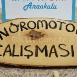 NÖROMOTOR ÇALIŞMASI