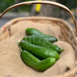 🌱 Toprağın Güzelliklerini Keşfediyoruz! 🥒🤍