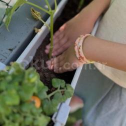 🌱🌿 Minik Eller, Büyük Emekler!