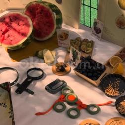 🌱 Karpuz Çekirdeğini Keşfediyoruz! 🍉🔍