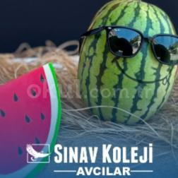 🌞 Avcılar Sınav Koleji Yaz Okulu'nda Eğlence ve Öğrenme Bir Arada!