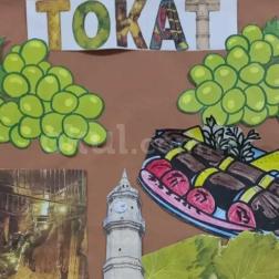 Ülkemi Tanıyorum: Tokat
