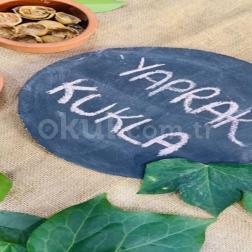 🍃 Yaprak Kukla Etkinliği! 🧸🌿