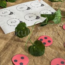 🐞 Montessori Uğur Böcekleriyle Sayı Eşleştirme Etkinliği