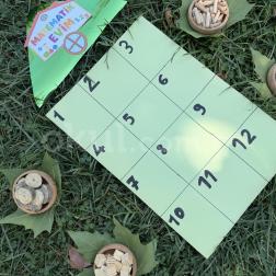 Doğada Kodlama: Keşfet, Düşün, Çöz🌳
