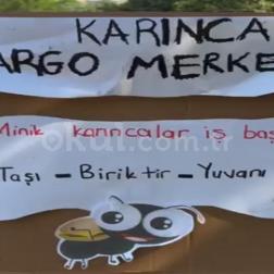 🌿 Minik Adımlarla Büyük Keşifler! 🌿🐜