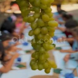 🍇🌿 Doğanın içinde, doğadan ilham alan bir atölye! 🌿🍇