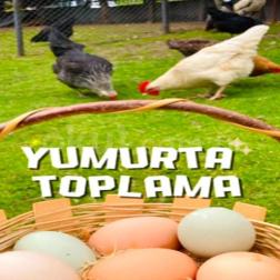 Bugün öğrencilerimizle doğada küçük ama çok keyifli bir keşfe çıktık. 🥚🌿