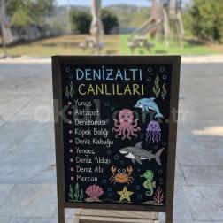 Denizaltı Canlılarını Öğreniyoruz.