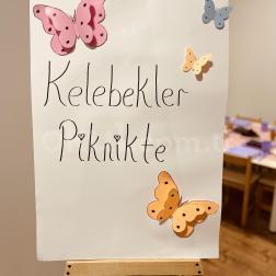 Kelebekler Piknikte.