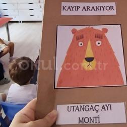 🐻🔎 Utangaç Ayı Monti Kayıp! 🐾