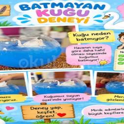 🦢💜 Lavanta Sınıfı deney zamanı!