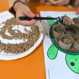 🐢 Mercimeklerle Eğlenerek Öğreniyoruz! 🌱