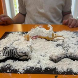 Montessori Saati 🐘🦒🐅