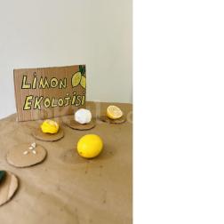 🍋🌿 Limon Ekolojisi Etkinliğimiz!